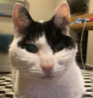 Charlie